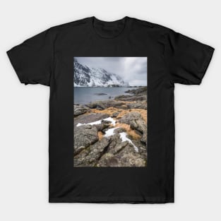 Maervollspollen #1 T-Shirt